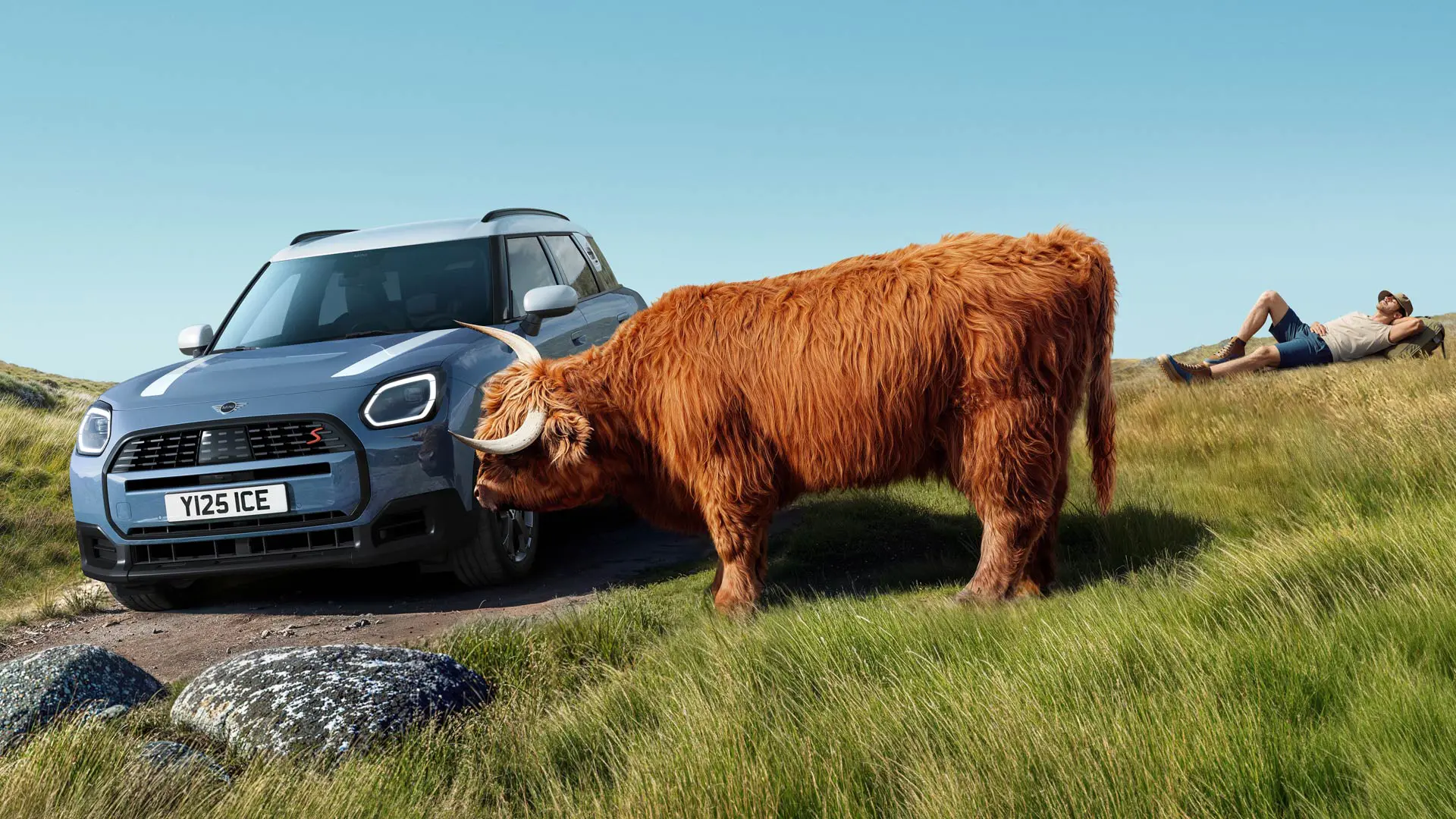 Um MINI Countryman passando por uma vaca pastando tranquilamente nas proximidades. Com um atendimento proativo, nós cuidamos das preocupações, você dirige.